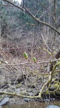 暖かくなったけど、渇水