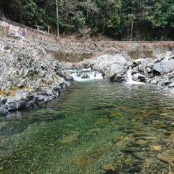 解禁日だより ’19