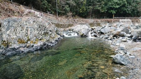 解禁日だより ’19