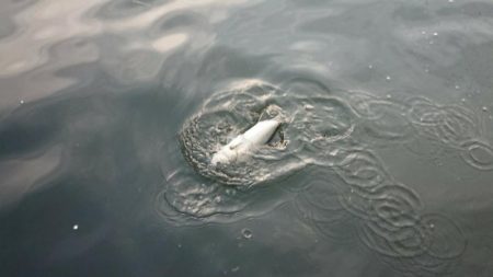 雨上がりの夕練