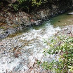 アマゴ釣り Vo,2