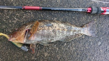 雨の日曜日三種目達成
