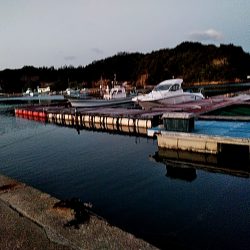 アジングに挑戦中!!