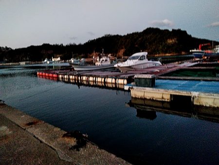 アジングに挑戦中!!