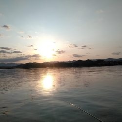 久しぶりのいっぱいでした!!