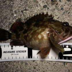 二見ガシリング1