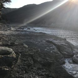 椿でエギング春イカ調査