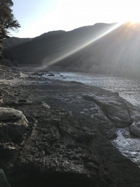 椿でエギング春イカ調査