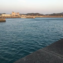 暖かくなってきた