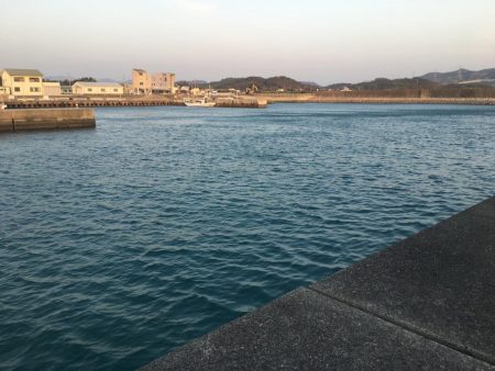 暖かくなってきた