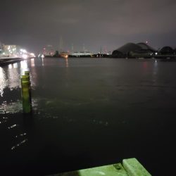 シーバスを求めて