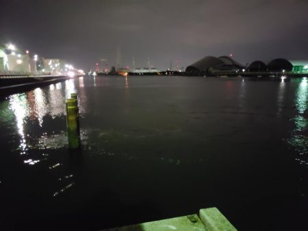 シーバスを求めて