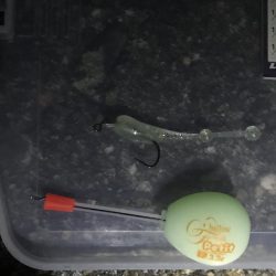 早起きは、期待外れ