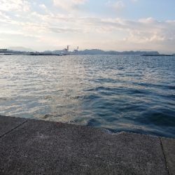 太刀魚狙いですが…