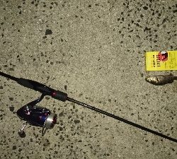 井口港メバリング