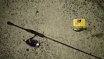 井口港メバリング