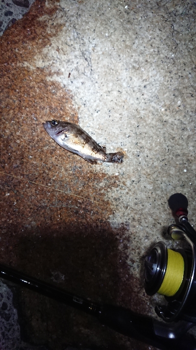 ジアイは一瞬！