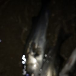 気温快適、水温低め、活性低め