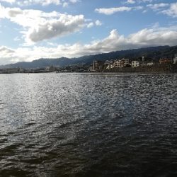 でかいタケノコ