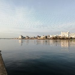 久しぶりのチニング