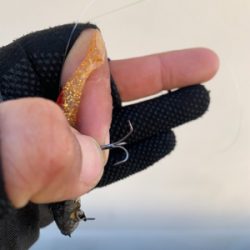 Beat the bad tide ！（悪潮をぶっとばせ）