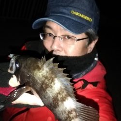 ボトムワインドでメバル爆釣