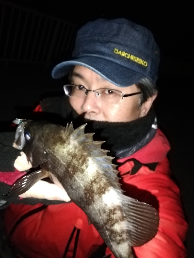 ボトムワインドでメバル爆釣