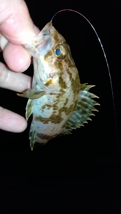 ナイトメバリング