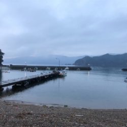 つりぴぃぽぉ釣果