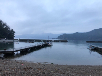 つりぴぃぽぉ釣果