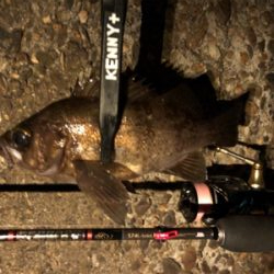 潮が動いてなかったけど何とか。