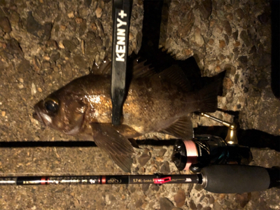 潮が動いてなかったけど何とか。