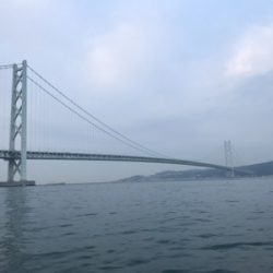 鯛サビキ  明石〜淡路島周辺