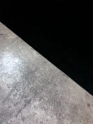 ロックフィッシュ