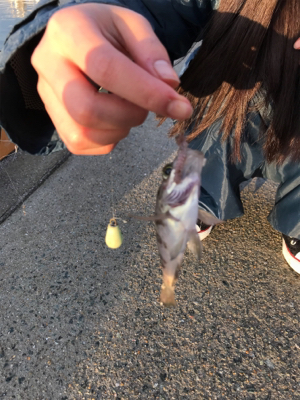 ムシングでまさかの‥