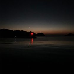 ヤリイカ釣果！