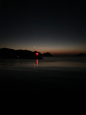 ヤリイカ釣果！