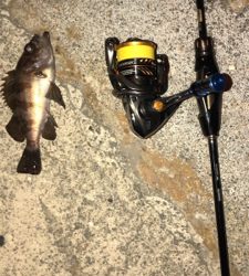 港奥メバリング