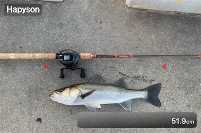 献上！抜き上げシーバス♫