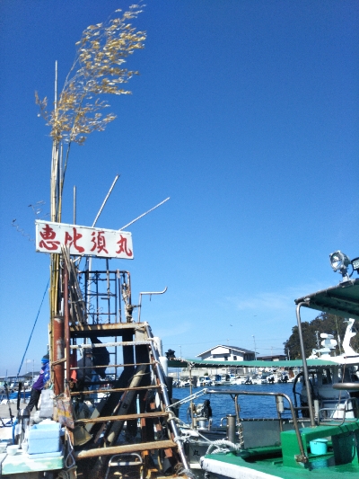 爆釣はつづく！