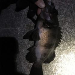 まぁまぁなサイズ