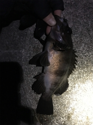 まぁまぁなサイズ