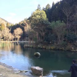 エリアトラウト