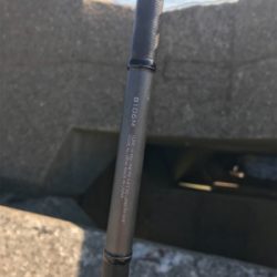 ボラの大名行列