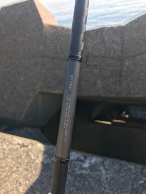 ボラの大名行列