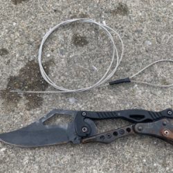 早春のマルチ湾奥シーバス♫