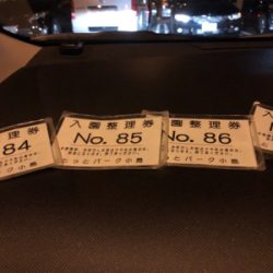 ようやくメジロ