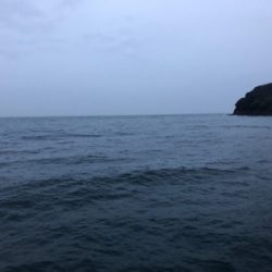 サバ3連はハマチ級の引き^_^笑