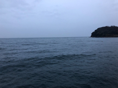 サバ3連はハマチ級の引き^_^笑