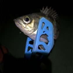 メバリングin御所浦4